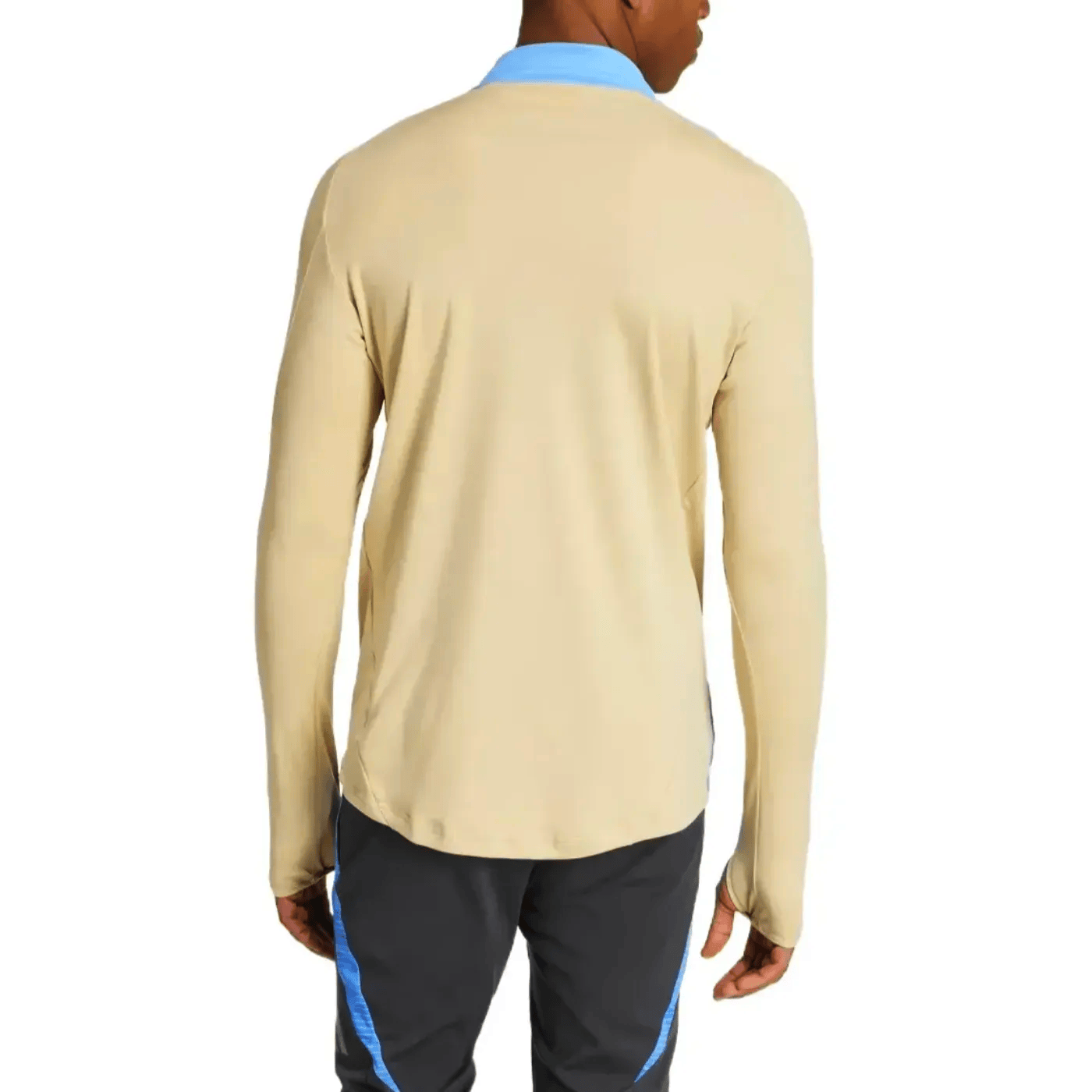 Argentina training technical soccer tracksuit 2024/25 - Adidas