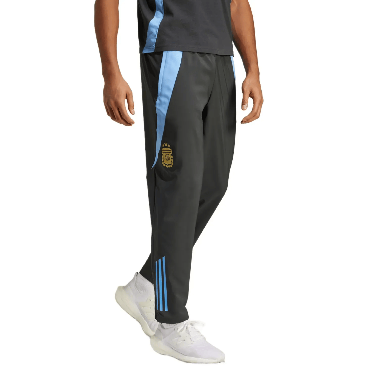 Argentina training presentation Soccer tracksuit 2024/25 - Adidas