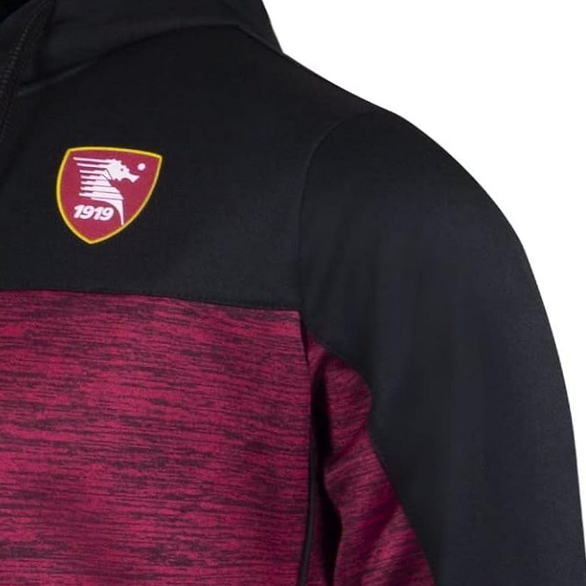 US Salernitana training presentation Soccer Tracksuit 2021 - Zeus