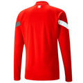Switzerland national team training technical sweat top 2022/23 - Puma